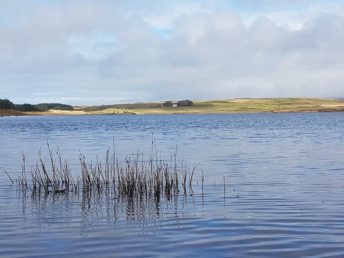 Islay Distillery Tour