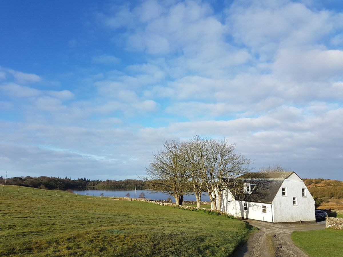 Islay Distillery tours