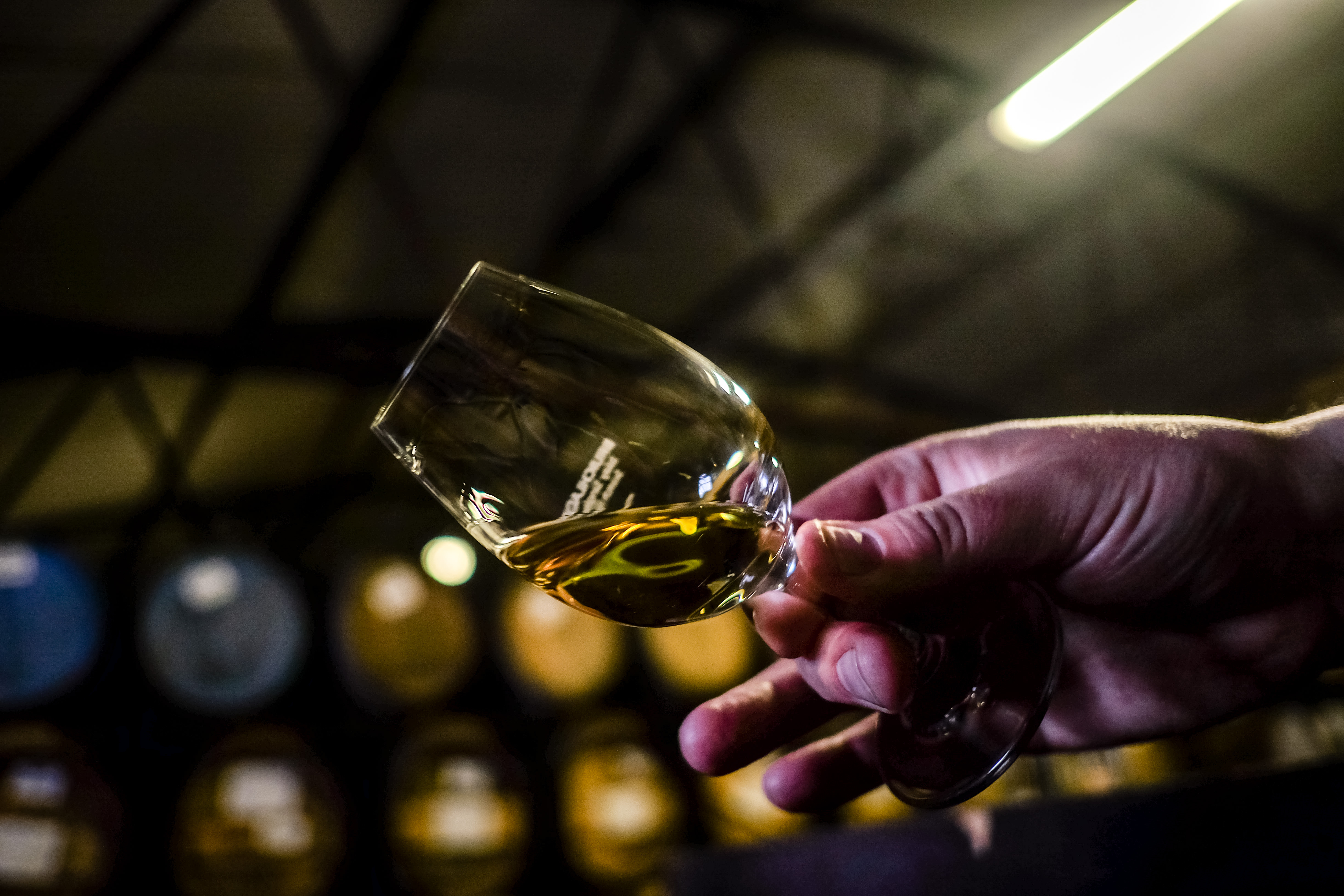 Islay Whisky Tour