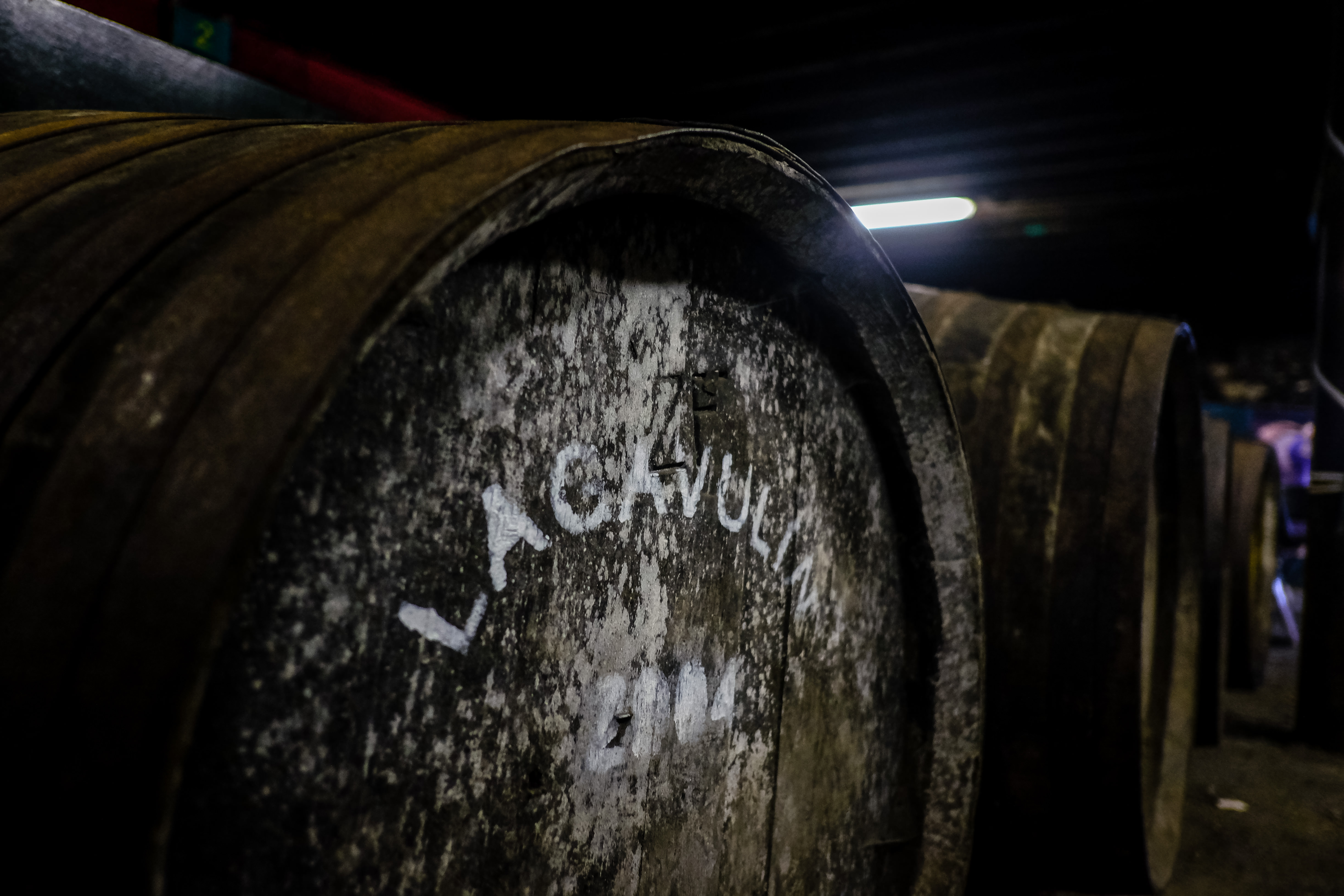 Islay Whisky Tours