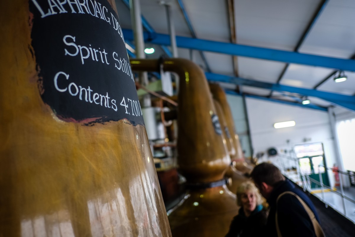 laphroaig tour