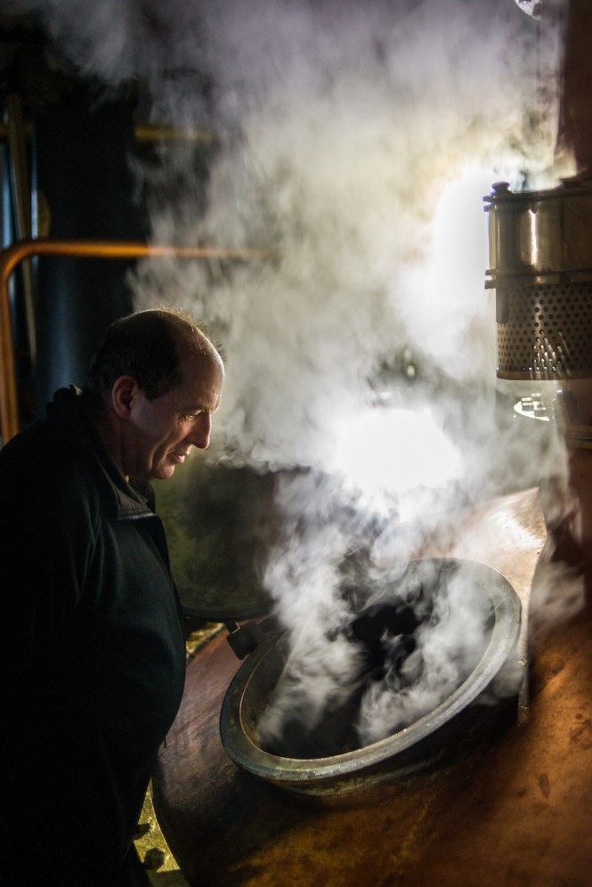 gin tastings in your home