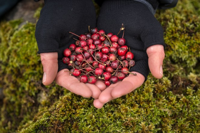 corporate gin tastings