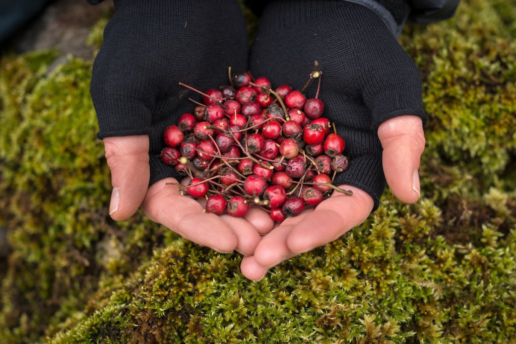 corporate gin tastings