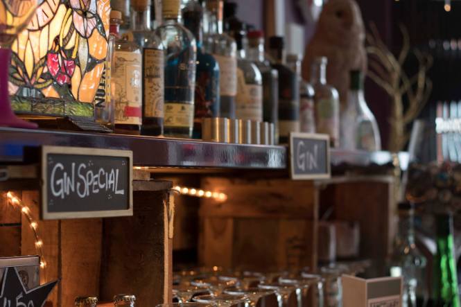 Gin tasting in your home