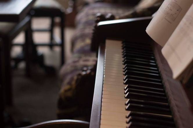 Gin tastings at home