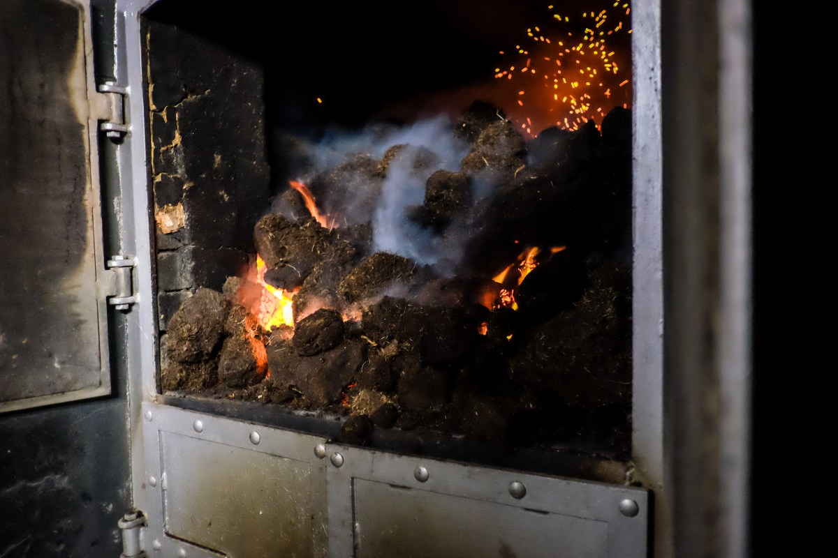 Islay Distillery Tour