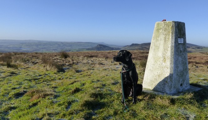 Peak District Whisky Tasting