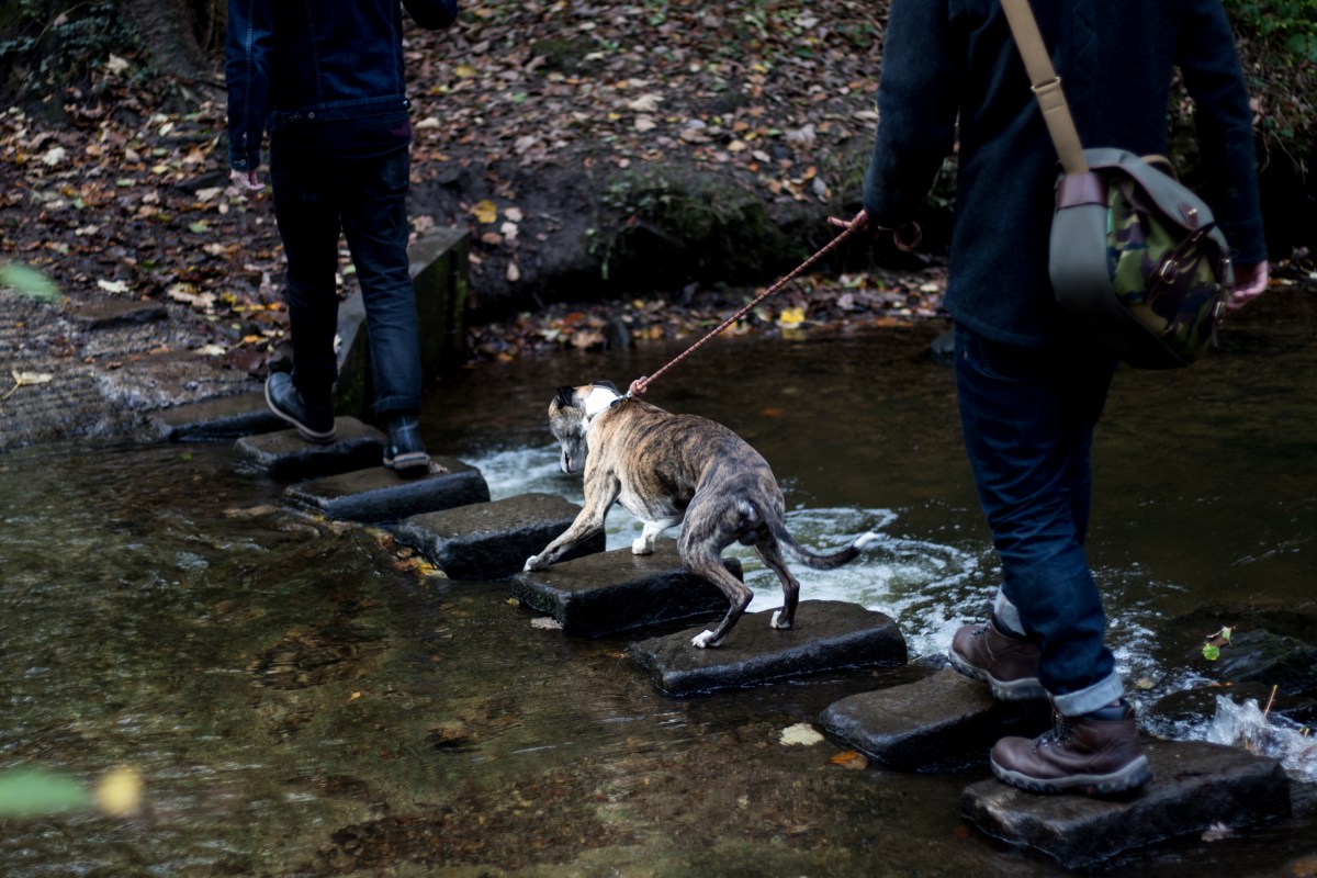 Whisky Tasting Bakewell